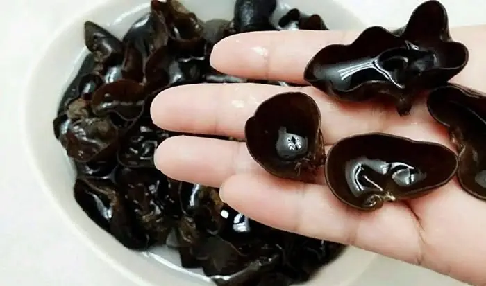 เคล็ดลับแช่เห็ดหูหนูให้สะอาด นุ่มฟูไวในไม่กี่นาที หลายคนเพิ่งรู้