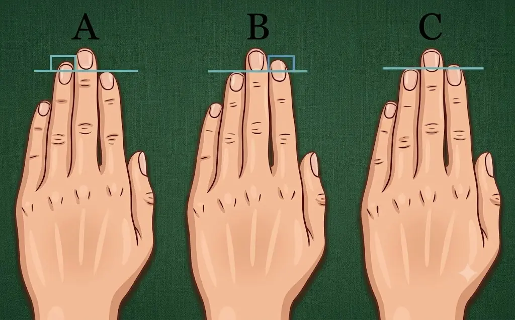 ความยาวนิ้วมือบอกลักษณะนิสัยและตัวตนที่ซ่อนอยู่ภายใน