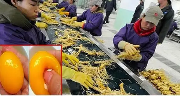 10 อาหารจากจีนที่ถูกปลอมแปลงมากที่สุด: ไทยบริโภคถึง 9 ชนิด ผู้บริโภคควรรู้เท่าทันก่อนซื้อ