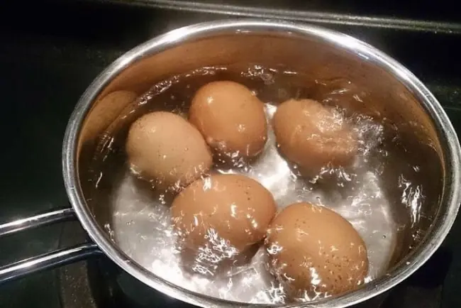 ชื่อบทความ: บทเรียนจากการกินไข่ต้มติดต่อกันนาน 5 เดือน