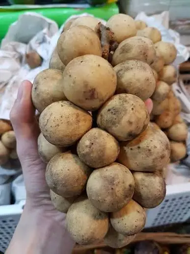 เคล็ดลับการทานผลไม้แปลกเพื่อดูแลสุขภาพอย่างถูกต้องและปลอดภัย