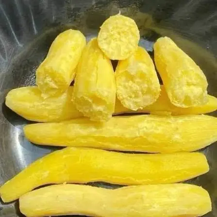กินอะไรเพื่อดูแลสุขภาพร่างกายและสร้างภูมิคุ้มกันที่ดี? รวม 5 ตัวเลือกสุดยอดอาหารธรรมชาติ