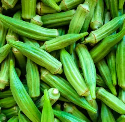 ผลไม้ราคาถูก "กวาด" ไขมันในเลือดดีเยี่ยม ญี่ปุ่นยกเป็น "โสมเขียว" ไทยมีตามตลาดทั่วไป!