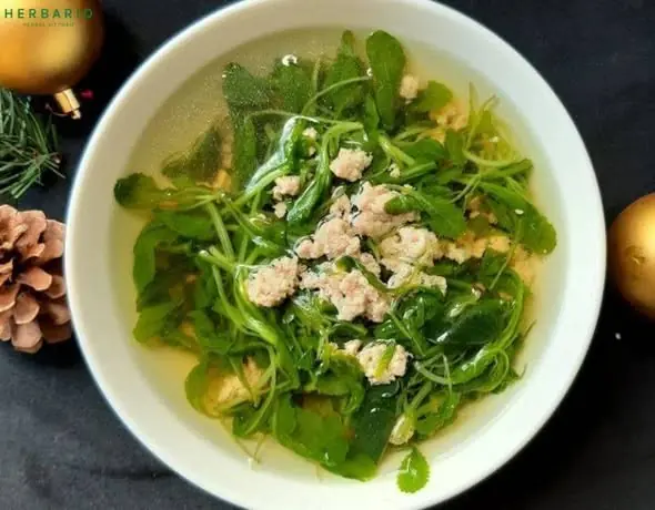 เปิดโลกผักพื้นบ้านที่หลายคนมองข้าม แต่กลับมีคุณประโยชน์ต่อร่างกายอย่างมหาศาล