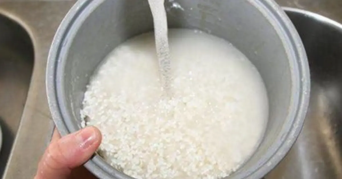 ทำไมไม่ควรซาวข้าวในหม้อในของหม้อหุงข้าวไฟฟ้า? พฤติกรรมเล็ก ๆ ที่อาจนำไปสู่ 5 ปัญหาใหญ่โดย