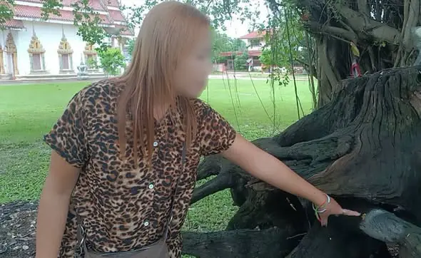 ขนลุกซู่! สาวใหญ่ลูบตอตะเคียนเฮี้ยน ถูกหวย 3 ตัวตรงกวาดเงินแสนกว่า