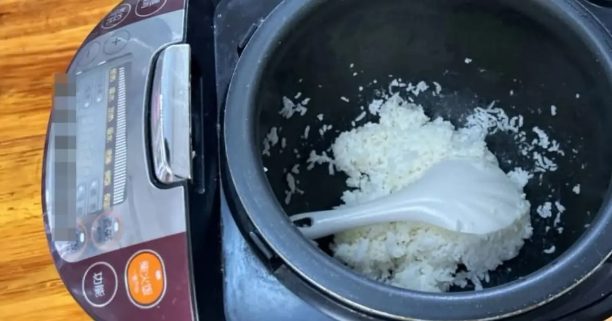 ข้าวค้างคืนในหม้อหุงข้าวยังกินได้หรือไม่? หลายคนอาจตกใจเมื่อรู้คำตอบจากผู้เชี่ยวชาญ