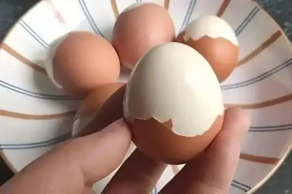 สาววัย 33 ปี ลอง "กินไข่ทุกมื้อ" ติดต่อกัน 5 เดือน ไปตรวจสุขภาพ ทำหมอตกใจ ค่านี้พุ่งปรี๊ด!